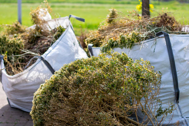 Attic Cleanout Services in Columbus, MN